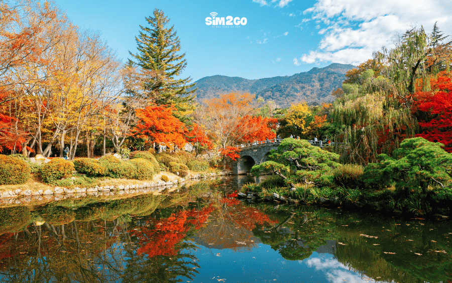 den-bulguksa-noi-tieng-cua-gyeongju-khi-vao-thu