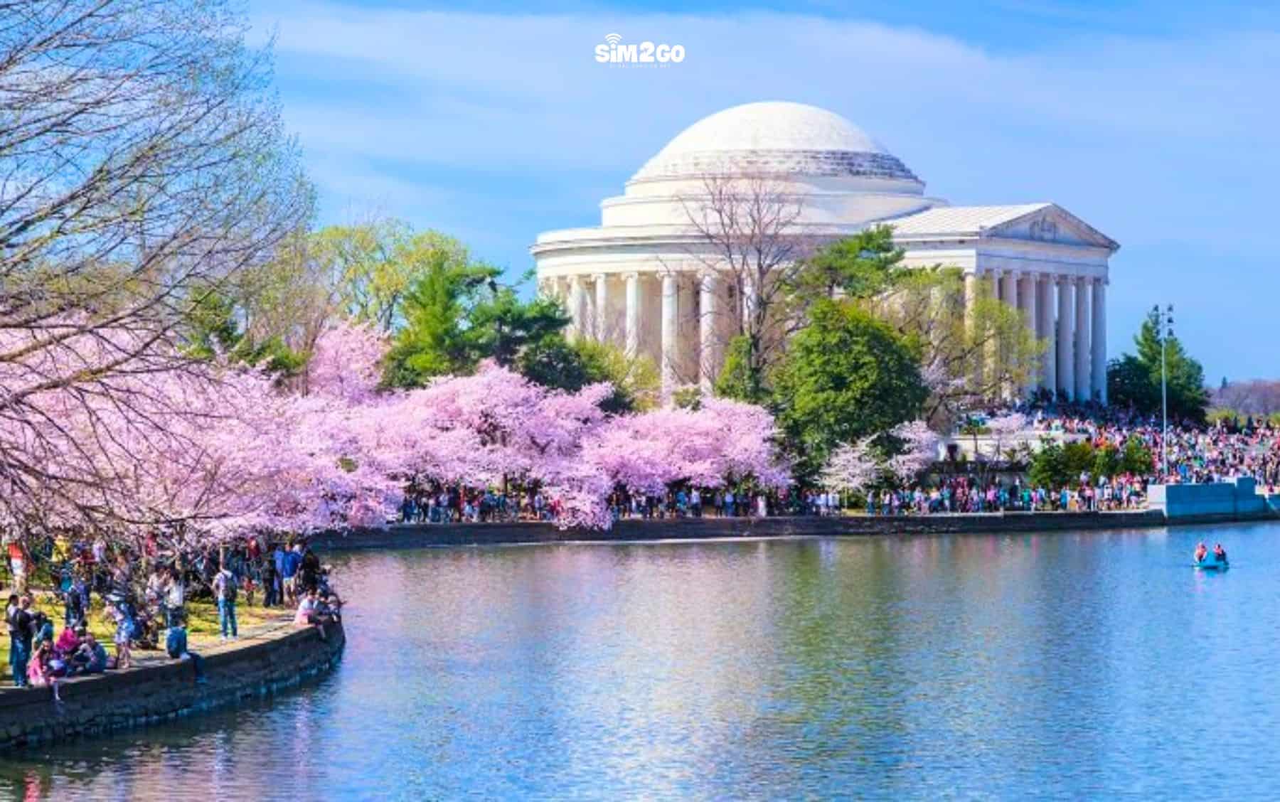 1-trieu-cay-hoa-anh-dao-doc-theo-bo-song-potomac-va-ho-columbia-no-tao-nen-canh-sac-tuyet-dep
